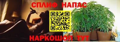 мет Бийск