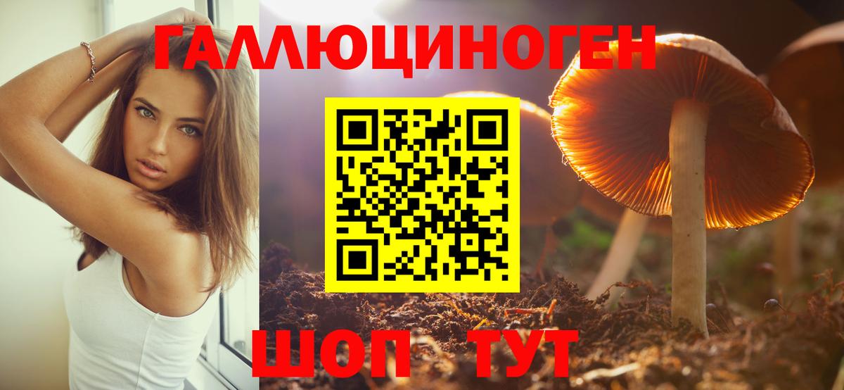 Галлюциногенные грибы MAGIC MUSHROOMS  Вход с VPN  Ишим 