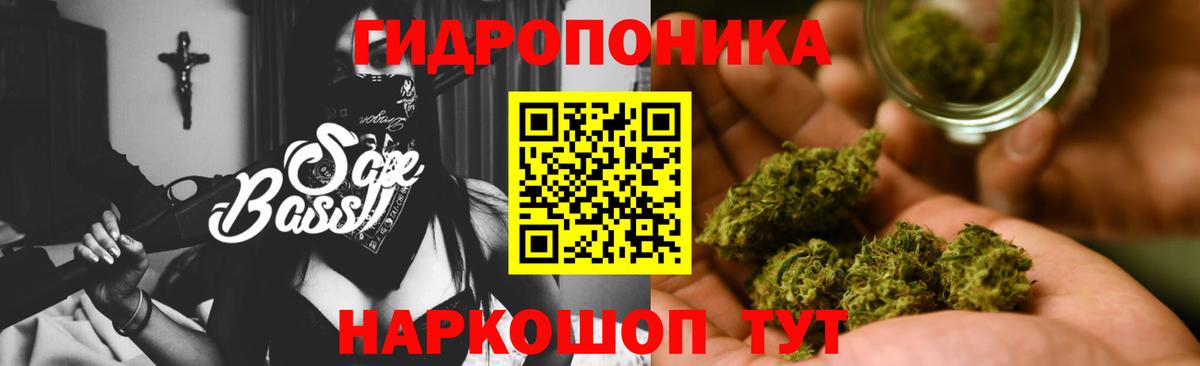Каннабис SATIVA & INDICA Ишим